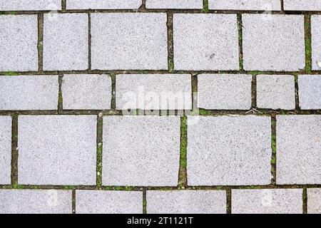 Piastrelle di cemento grigio vintage con erba che cresce tra le pietre. Struttura della parete di cemento. Modello di marciapiede. Background industriale. Vista dall'alto. Foto Stock