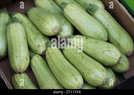 Pila di zucchine verdi sul bancone del negozio di alimentari. Zucchine fresche di colore verde chiaro impilate in un mucchio al bazar di strada. Mercato vegetale. Estate Foto Stock