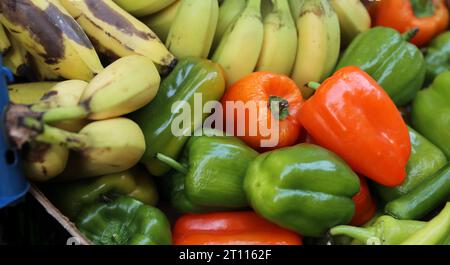 Pila di peperoni verdi e rossi dolci e banane brune gialle mature in scatola di cartone al mercato di Street food. Frutta e verdura fresca presso l'fa Foto Stock