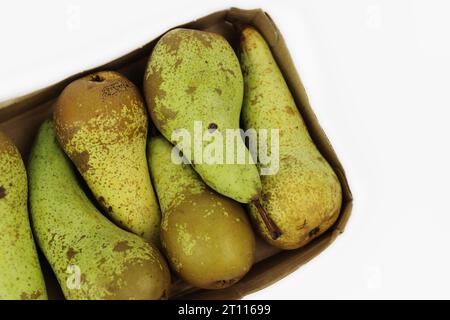 Pelo di pere mature verdi Conferenza confezionato in cartone rettangolare contenitore di cartone per la vendita al dettaglio, isolato su fondo bianco. Confezione priva di plastica Foto Stock