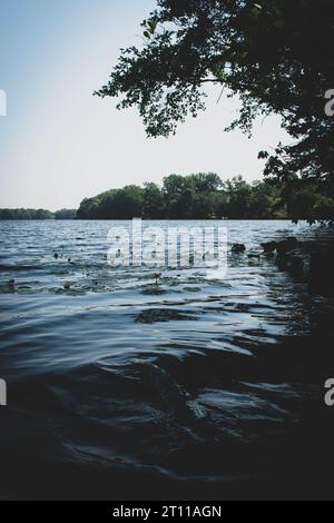 angolo inferiore dell'acqua. Osservando l'acqua che scorre, spingendo i Lillys su e giù. Foto Stock