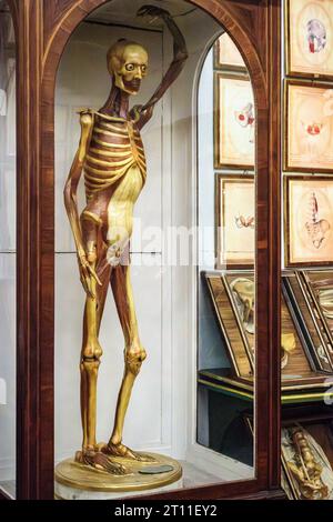 Il museo noto come la Specola, a Firenze, fondato nel 1775, contiene modelli anatomici di cera altamente accurati di corpi dissezionati per l'insegnamento della medicina Foto Stock