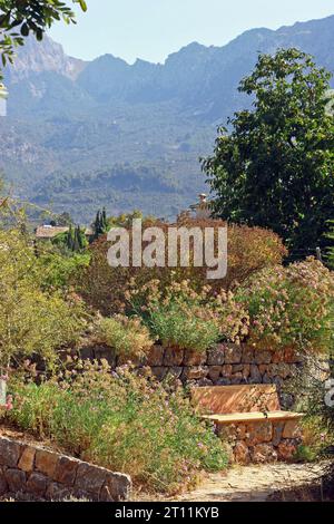 Giardino botanico di Soller, Maiorca. Una panchina in pietra naturale e legno è circondata da flora mediterranea; lo sfondo delle montagne Tramuntana. Settembre. Foto Stock