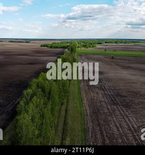 Due campi separati da una cintura forestale, vista aerea. Paesaggio agricolo. Foto Stock