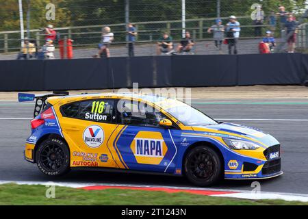 Vincitrice del campionato Ashley Sutton - Napa Racing UK - alla guida di Ford Focus ST numero 116 nel BTCC 2023 a Brands Hatch nell'ottobre 2023 Foto Stock