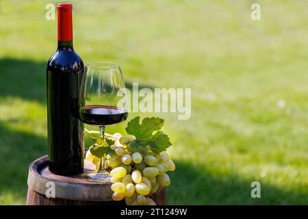 Bottiglia di vino, bicchiere rosso WIN e uva su botte all'aperto con spazio per la copia Foto Stock