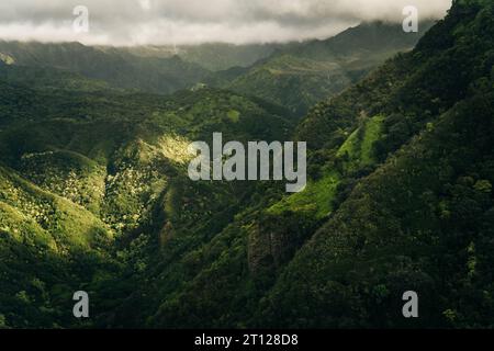 Veduta aerea del Grand Canyon del Pacifico di Waimea Canyon sul lato occidentale dell'isola di Kauai nelle Hawaii. Foto di alta qualità Foto Stock