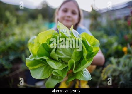 Ritratto di una graziosa ragazza che tiene in mano lattuga, salato del giardino autunnale. Foto Stock