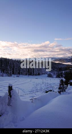 Inverno Berge Schneefall verschneite Landschaft tief winterliche Landschaft blauer Himmel Sonnenschein Österreich Kärnten Foto Stock