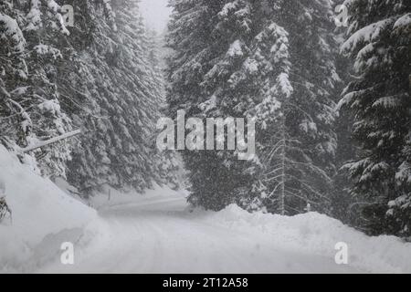 Inverno Berge Schneefall verschneite Landschaft tief winterliche Landschaft Schneeflocken Foto Stock