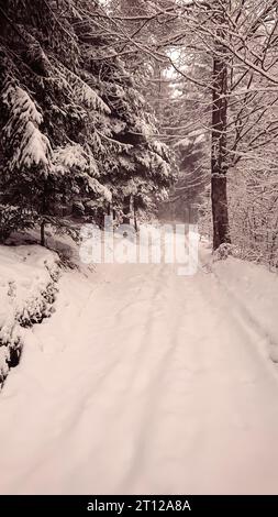 Inverno Berge Schneefall verschneite Landschaft tief winterliche Landschaft Schneeflocken Foto Stock