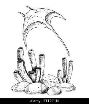 Sting Ray con barriere coralline e fondali marini. Han ha disegnato un'illustrazione vettoriale nera di Stingray e del fondo oceanico su sfondo bianco isolato. Disegno in linea di Manta con pesci per il disegno sottomarino. Illustrazione Vettoriale