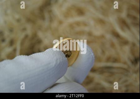 Una moneta da investimento in oro puro nelle mani di un numismatico. Una moneta fatta di metallo prezioso. Foto Stock
