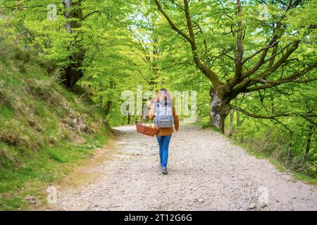 Una giovane bruna caucasica che cammina lungo un sentiero con un cesto diretto al picnic con la sua famiglia Foto Stock