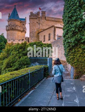 Turista che visita l'esterno del Palazzo reale della città medievale di Olite, nella Navarra meridionale. Spagna Foto Stock