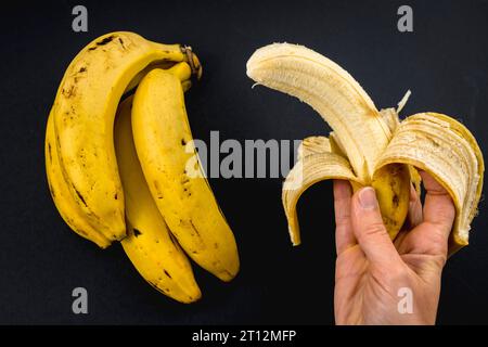 Una banana sbucciata in mano a una donna e un mucchio di banane su sfondo nero Foto Stock