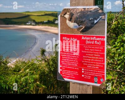 Un cartello rosso fissato su un palo di legno sul Pembrokeshire Coast Path avverte dell'influenza aviaria e consiglia le precauzioni e le azioni da intraprendere Foto Stock