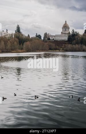 Vista del Campidoglio di Olympia, nello stato di Washington, con il lago e le anatre in primo piano Foto Stock