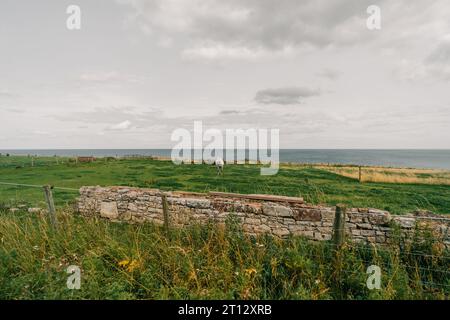 Cocklawburn Beach from the Dunes, una spiaggia rurale all'interno della Northumberland Coast area di straordinaria bellezza naturale. Foto di alta qualità Foto Stock