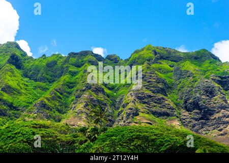 Primo piano del frammentato residuo delle pendici del vulcano Ko'olau nella valle Ka'awa sulla costa ventosa di Oahu alle Hawaii. L'area di Kualoa è un populista Foto Stock