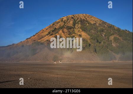 Pianeggiante ai piedi del Monte Bromo vulcano, Indonesia Foto Stock