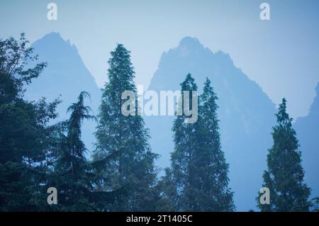 Alba alla nebbia montagna Wudang nella provincia di Hubei, Cina Foto Stock