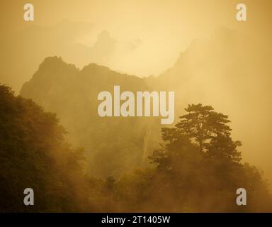 Alba alla nebbia montagna Wudang nella provincia di Hubei, Cina Foto Stock