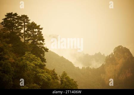 Alba alla nebbia montagna Wudang nella provincia di Hubei, Cina Foto Stock