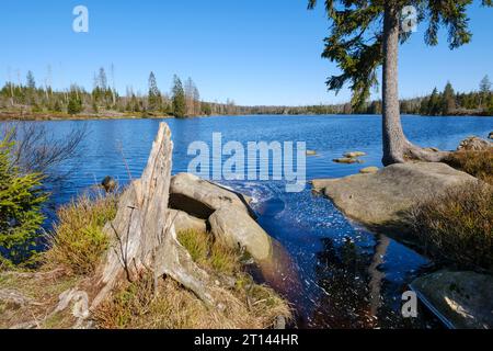 Paesaggio al lago Oderteich Foto Stock