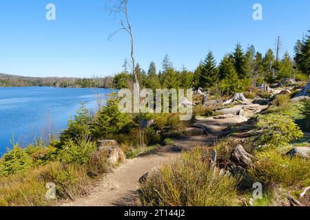 Paesaggio al lago Oderteich Foto Stock