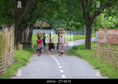 Donna del villaggio che porta legno in testa. Questa foto è stata scattata da Chittagong, Bangladesh. Foto Stock