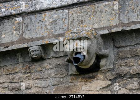 Un gargoyle su St. Peter's Church, Stanion, Northamptonshire, Inghilterra, Regno Unito Foto Stock