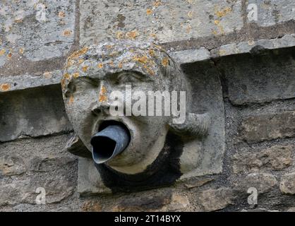 Un gargoyle su St. Peter's Church, Stanion, Northamptonshire, Inghilterra, Regno Unito Foto Stock