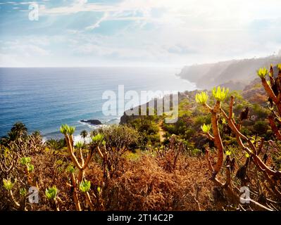 Vista impressionante del paesaggio montagnoso e costiero dell'isola di Tenerife. Paesaggio marittimo, Isole Canarie, Spagna. Foto Stock