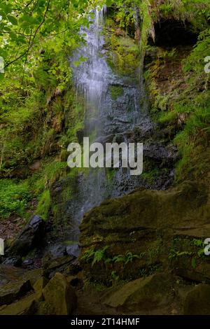 La cascata del Mallyan Spout scende per oltre 20 metri lungo un'aspra scogliera ricoperta di muschio e bracken fino al fondovalle. Foto Stock