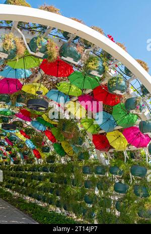 Parco ombrello, Doha, Qatar Foto Stock