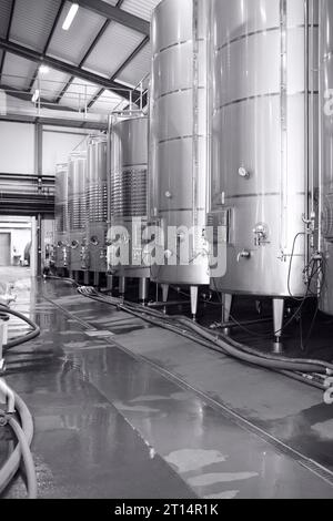 vasche di vino in acciaio inox per la fermentazione in una moderna cantina, fotografie in bianco e nero Foto Stock