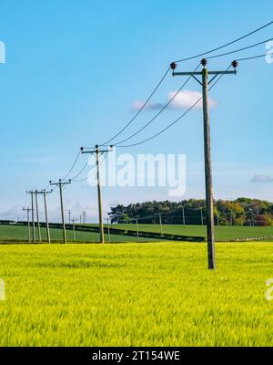 Vecchi pali telefonici o elettrici che attraversano un campo di coltivazione primaverile al sole, East Lothian, Scozia, Regno Unito Foto Stock