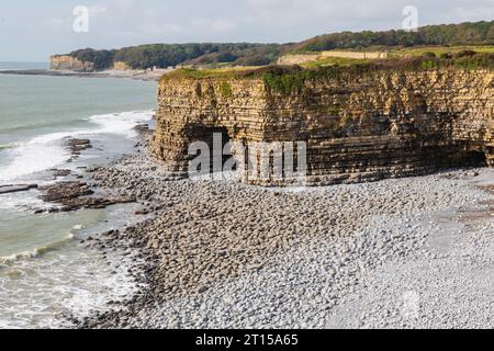 Grotta marina a Tresilian Bay, sulla Glamorgan Heritage Coast, vicino a Llantwit Major, Galles del Sud. Foto Stock