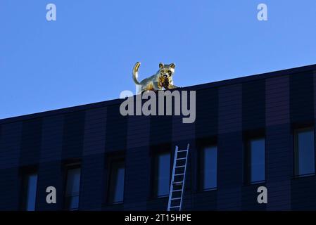 Kunst a Ratisbona. Eine am Gebäude angestellte Leiter und eine vergoldete Katze auf dem Dach, sehen die Regensburger bei der neu erbauten Berufsfeuerwehr in der Greflingerstrasse. Die Aluminiumguss-Katze Luzy ist 172 Kilo schwer und vergoldet mit Blattgold. für die Realisierung des Projekts standen 115000 Euro zur Verfügung. Luzy ist somit vermutlich die teuerste Katze im Land *** Arte a Ratisbona Una scala attaccata all'edificio e un gatto dorato sul tetto, vedete la gente di Ratisbona al nuovo reparto dei vigili del fuoco professionale di Greflingerstrasse, il gatto in alluminio fuso Luzy pesa Foto Stock