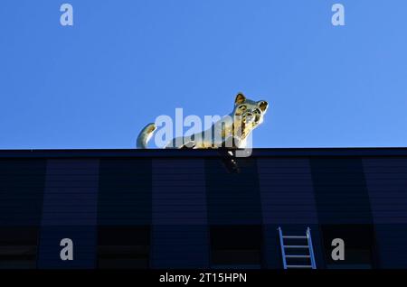 Kunst a Ratisbona. Eine am Gebäude angestellte Leiter und eine vergoldete Katze auf dem Dach, sehen die Regensburger bei der neu erbauten Berufsfeuerwehr in der Greflingerstrasse. Die Aluminiumguss-Katze Luzy ist 172 Kilo schwer und vergoldet mit Blattgold. für die Realisierung des Projekts standen 115000 Euro zur Verfügung. Luzy ist somit vermutlich die teuerste Katze im Land *** Arte a Ratisbona Una scala attaccata all'edificio e un gatto dorato sul tetto, vedete la gente di Ratisbona al nuovo reparto dei vigili del fuoco professionale di Greflingerstrasse, il gatto in alluminio fuso Luzy pesa Foto Stock