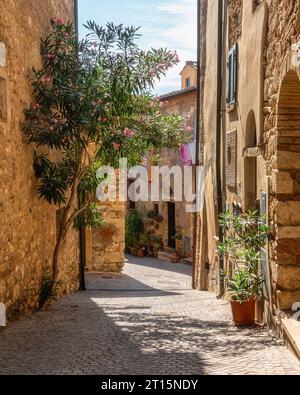 Il bellissimo villaggio di Bibbona in un soleggiato pomeriggio d'estate. Provincia di Livorno, Toscana, Italia. Foto Stock