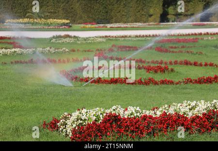 giardino fiorito con molte varietà di fiori fioriti nella villa e riflessi arcobaleno dell'acqua del sistema di irrigazione automatico Foto Stock