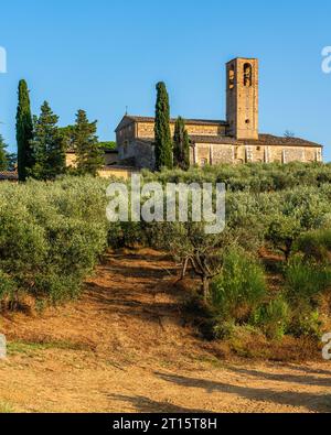 Vista panoramica con paesaggio tipico toscano e un bellissimo monastero, vicino a San Giminiano, nel soleggiato pomeriggio estivo. Provincia di Siena, Toscana, Italia. Foto Stock