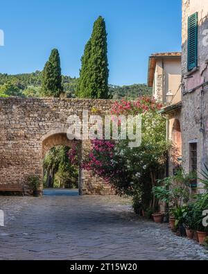 Il bellissimo villaggio di Suvereto in un soleggiato pomeriggio d'estate. Provincia di Livorno, Toscana, Italia. Foto Stock