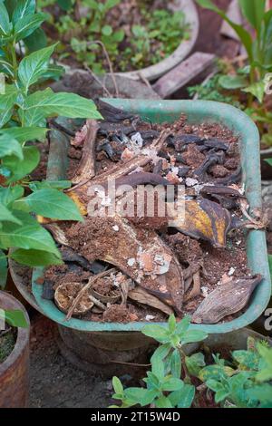 scarti o rifiuti alimentari utilizzati come fertilizzanti organici, gusci d'uovo, residui di frutta e verdura o residui per la fabbricazione di compost, ambientali e orto Foto Stock