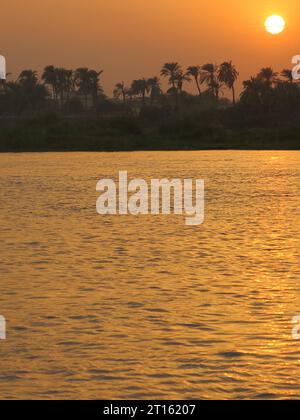 Palme sagomate sulle rive del Nilo, mentre un tramonto mozzafiato regala un sole giallo brillante in un cielo arancione. Foto Stock