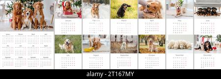 2024 anni di calendario fotografico con cani carini. Modello pianificatore giornaliero annuale con cuccioli. La settimana inizia lunedì Foto Stock