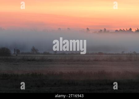 Atmosfera rilassata sui prati all'alba sul Peene, parco naturale del paesaggio fluviale della Peene Valley, Meclemburgo-Pomerania occidentale, Germania Foto Stock