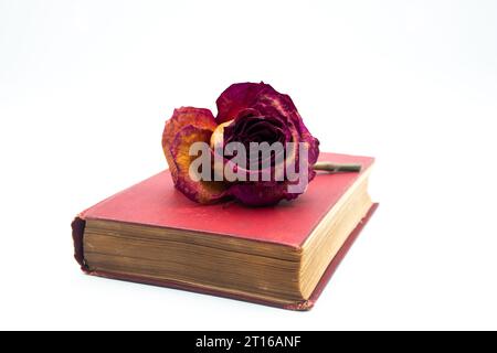 Rosa essiccata su vecchio libro isolato su sfondo bianco, bassa profondità di campo Foto Stock
